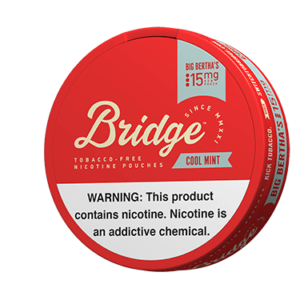 Bridge Cool Mint 15MG