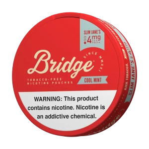 Bridge Cool Mint 4mg